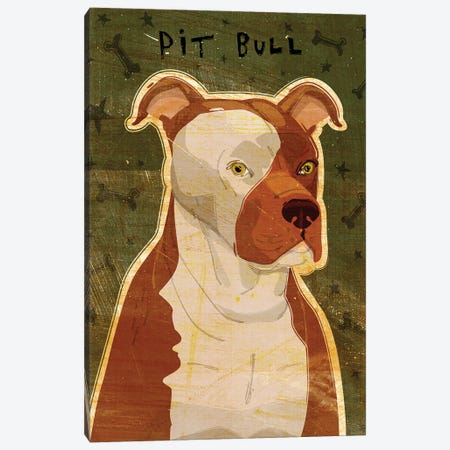 Pit Bull Canvas Print #GOL200} by John Golden Canvas Artwork