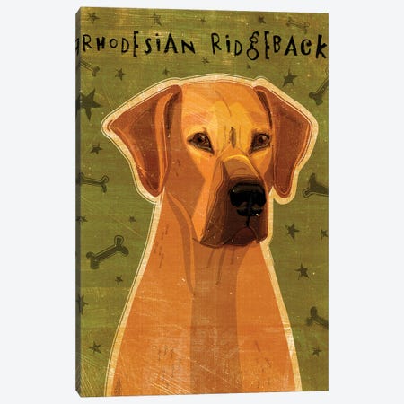 Rhodesian Ridgeback Canvas Print #GOL226} by John Golden Art Print