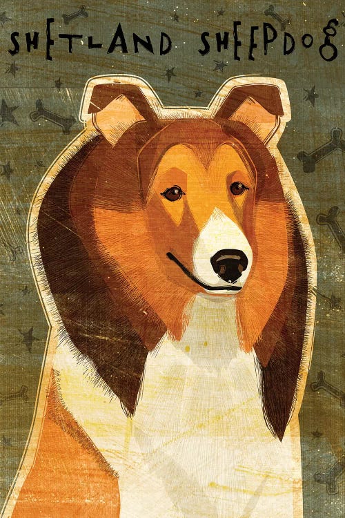 Shetland Sheepdog by John Golden wall art