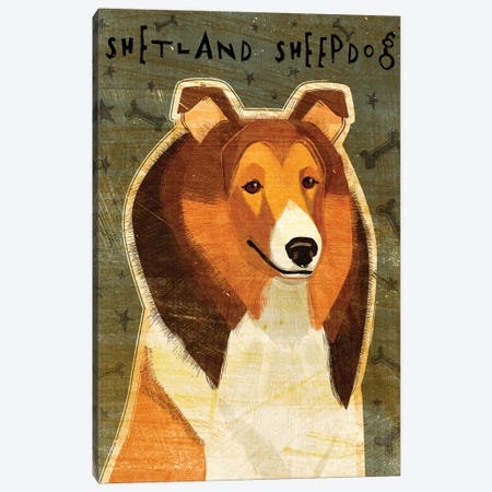 Shetland Sheepdog Canvas Print #GOL243} by John Golden Canvas Wall Art
