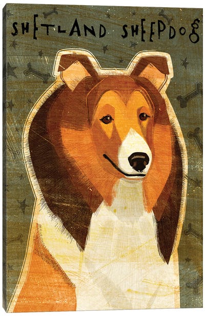 Shetland Sheepdog Canvas Art Print - Shetland Sheepdog Art