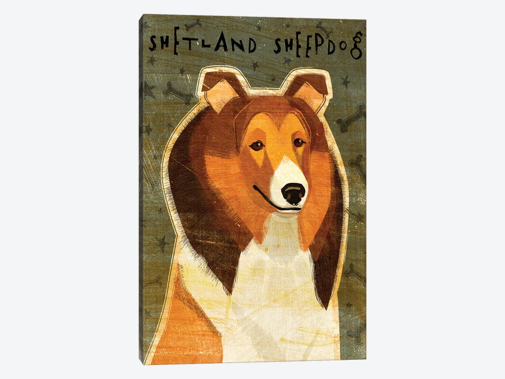 Shetland Sheepdog by John Golden 1-piece Canvas Art Print