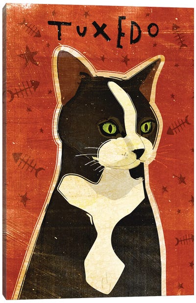 Tuxedo Canvas Art Print - Tuxedo Cat Art