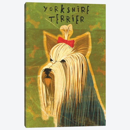 Yorkshire Terrier Canvas Print #GOL297} by John Golden Canvas Wall Art