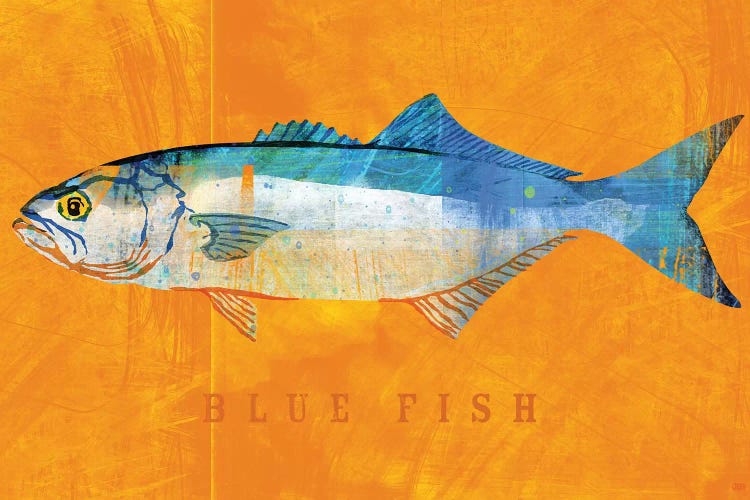 Blue Fish