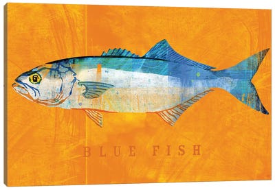 Blue Fish Canvas Art Print - John Golden