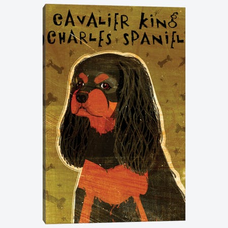 Cavalier King Charles - Black & Tan Canvas Print #GOL50} by John Golden Canvas Art