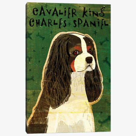 Cavalier King Charles - Tri-Color Canvas Print #GOL52} by John Golden Canvas Wall Art