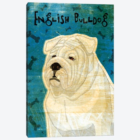 English Bulldog - White Canvas Print #GOL75} by John Golden Art Print