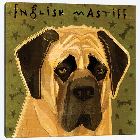 English Mastiff Canvas Print #GOL76} by John Golden Canvas Art Print