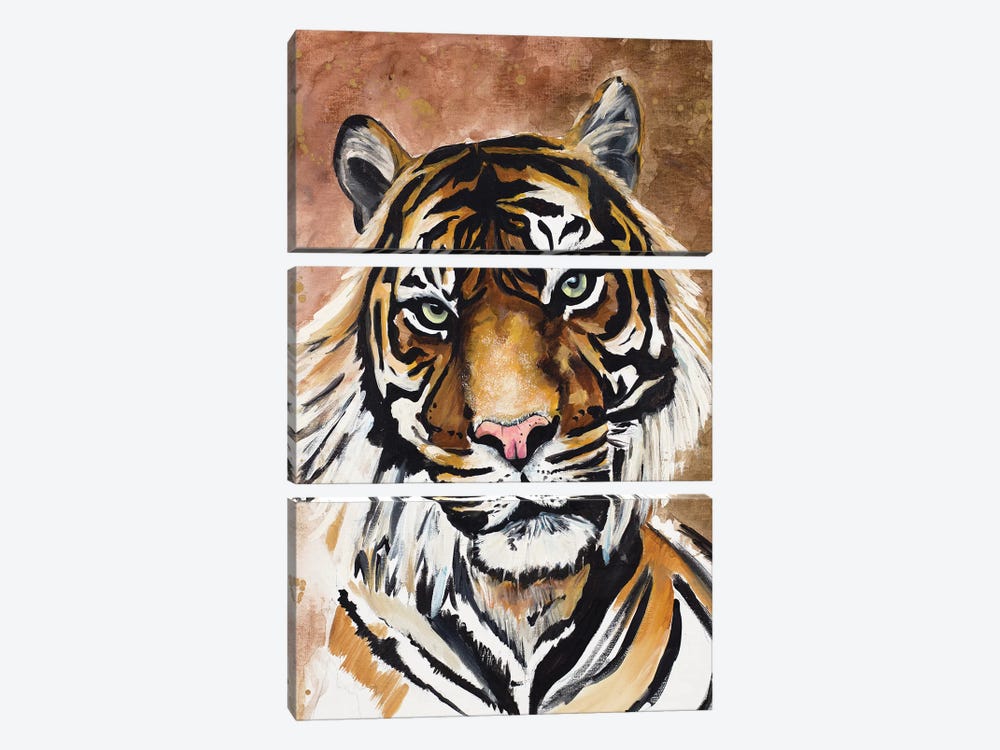 Tiger by Chelsea Goodrich 3-piece Canvas Artwork