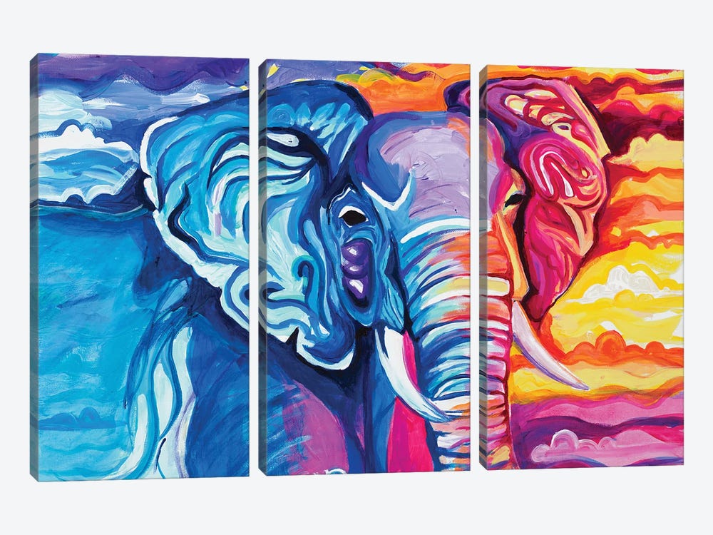 Elephant in Vibrant Colors by Chelsea Goodrich 3-piece Canvas Artwork