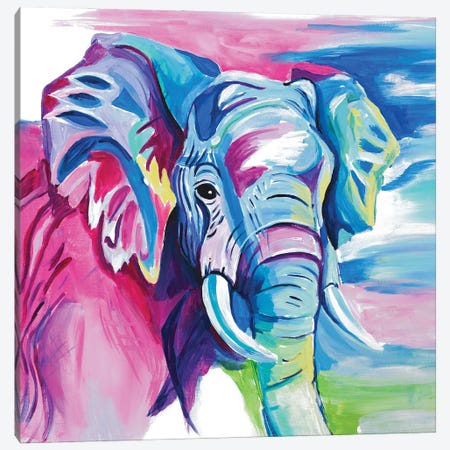 Fun Colorful Elephant Canvas Print #GOO14} by Chelsea Goodrich Canvas Artwork
