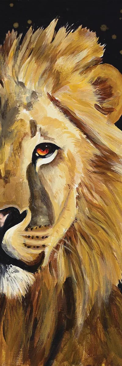 Lion Half Face by Chelsea Goodrich canvas print