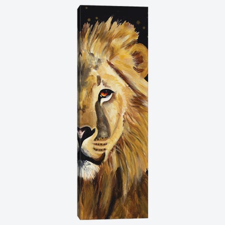 Lion Half Face Canvas Print #GOO17} by Chelsea Goodrich Canvas Wall Art