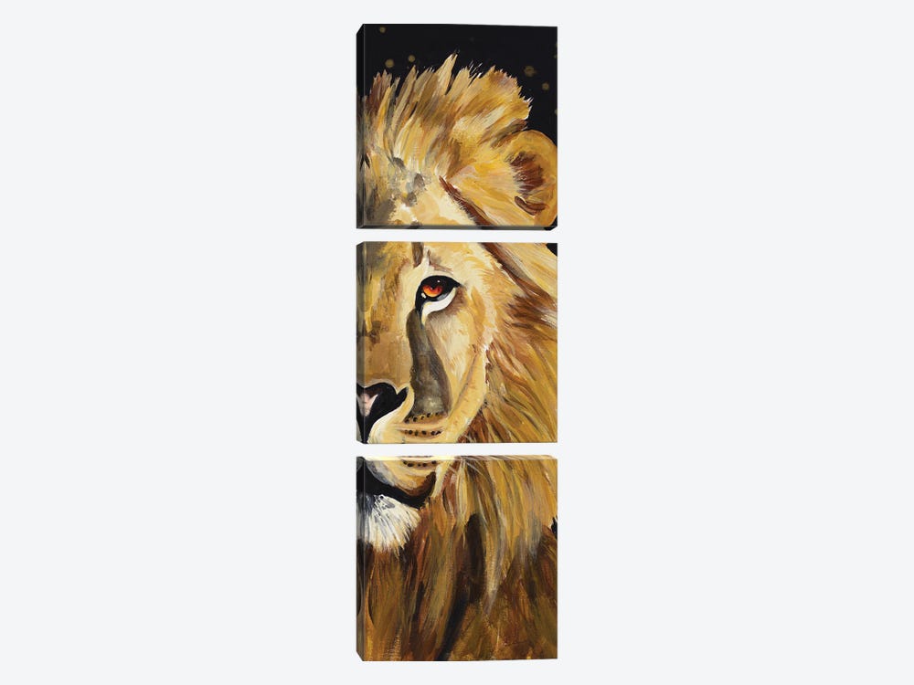 Lion Half Face by Chelsea Goodrich 3-piece Canvas Wall Art