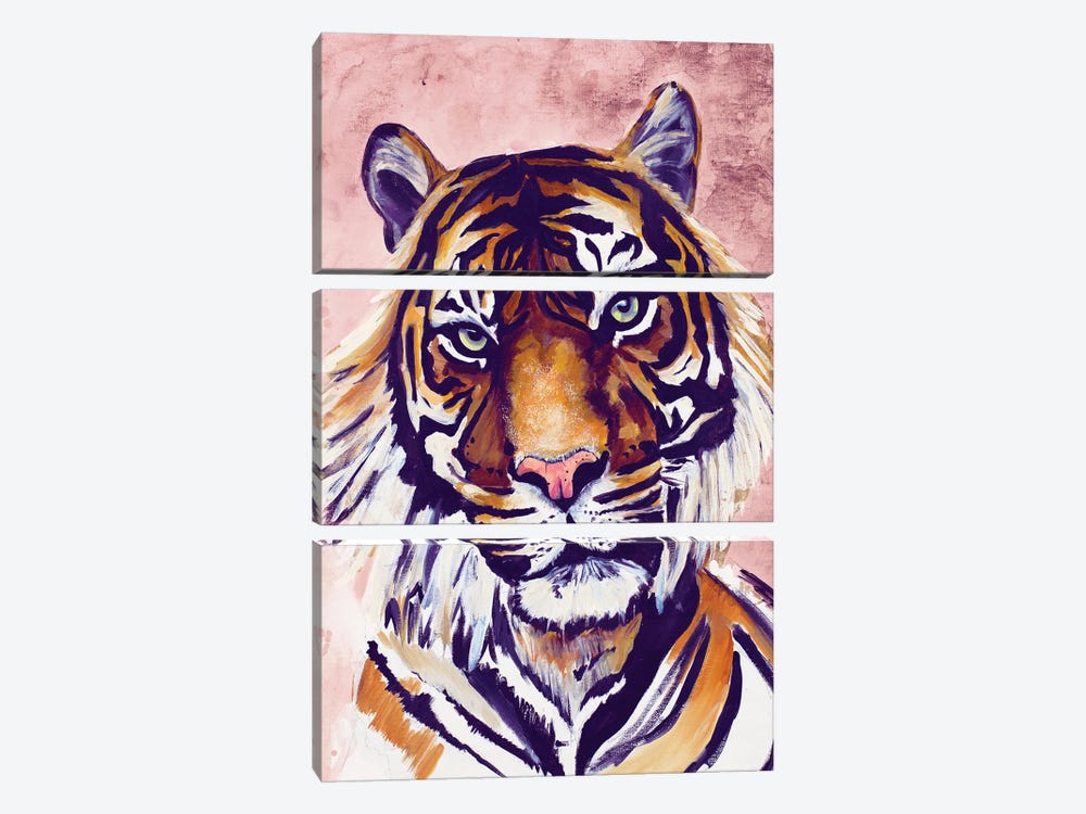 Tiger Face by Chelsea Goodrich 3-piece Canvas Wall Art
