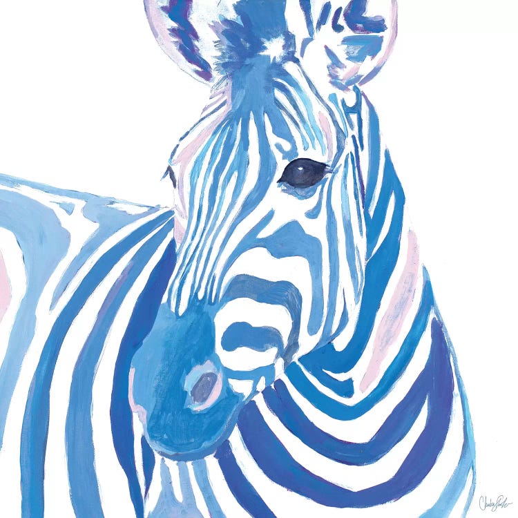 Vibrant Zebra