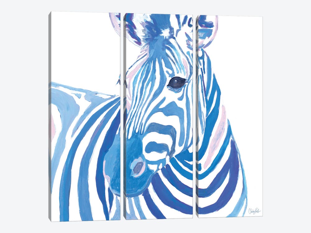 Vibrant Zebra by Chelsea Goodrich 3-piece Canvas Art
