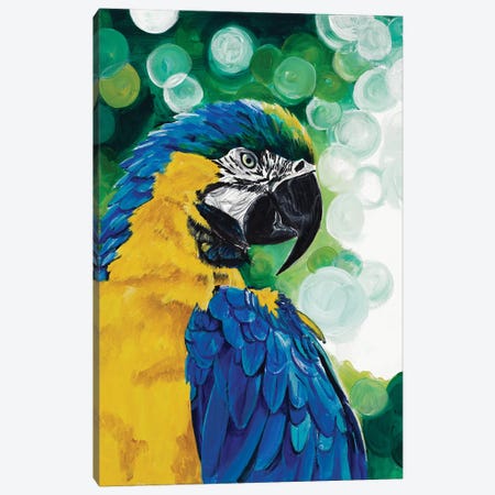 Brilliant Parrot Canvas Print #GOO9} by Chelsea Goodrich Canvas Artwork