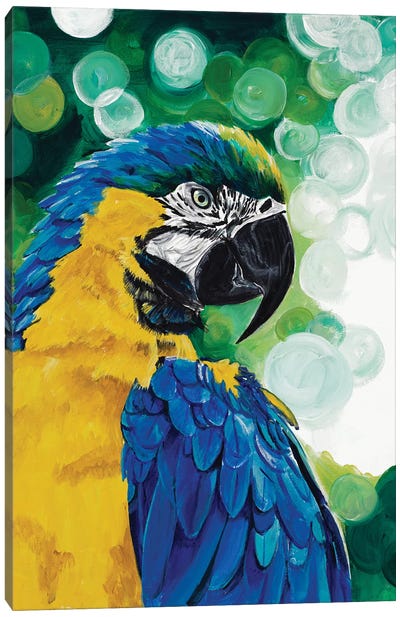 Brilliant Parrot Canvas Art Print