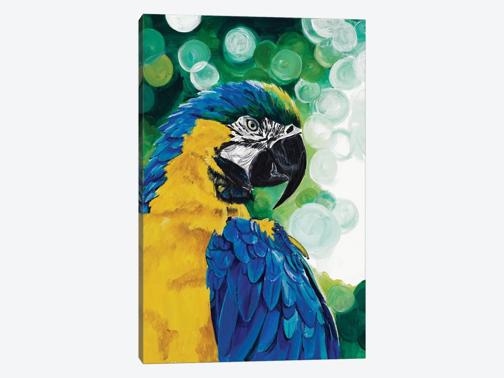 Brilliant Parrot by Chelsea Goodrich 1-piece Canvas Print