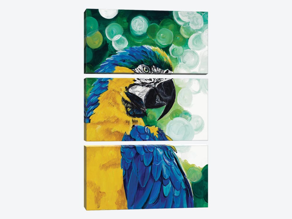 Brilliant Parrot by Chelsea Goodrich 3-piece Canvas Art Print