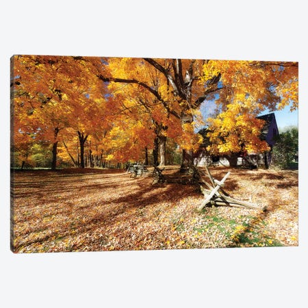 Leaves Covered Road, Wick Farm, Jockey Hollow State Park, Morristown, New Jersey Canvas Print #GOZ109} by George Oze Canvas Wall Art