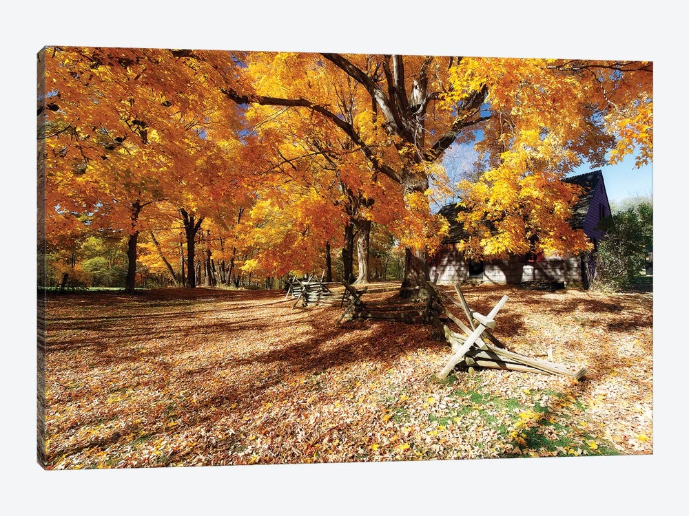 Leaves Covered Road, Wick Farm, Jockey Hollow State Park, Morristown, New Jersey by George Oze 1-piece Art Print
