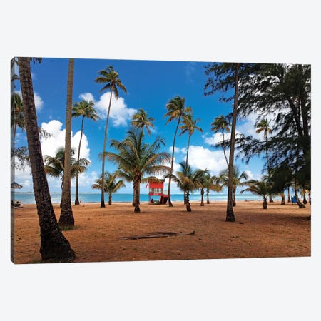 Lifeguard Hut on a Palm Covered Tropical Beach, Luquillo, Puerto Rico Canvas Print #GOZ111} by George Oze Art Print