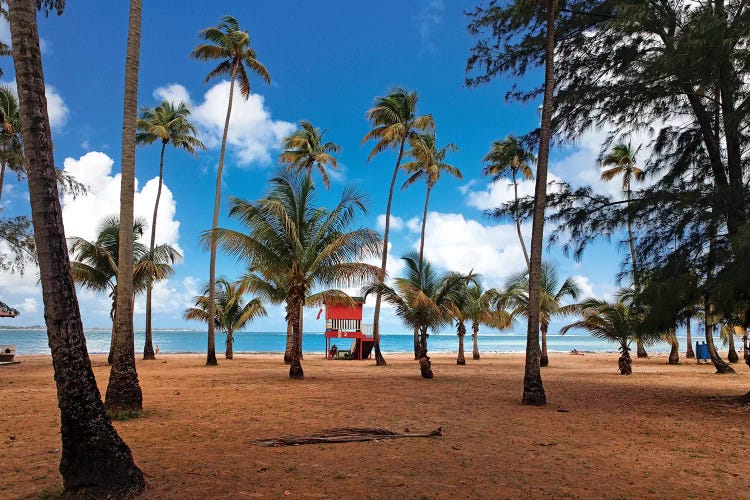 Lifeguard Hut on a Palm Covered Tropical Beach, Luquillo, Puerto Rico