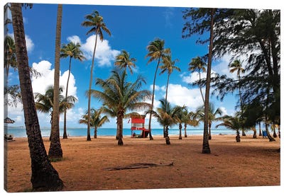 Lifeguard Hut on a Palm Covered Tropical Beach, Luquillo, Puerto Rico Canvas Art Print - George Oze