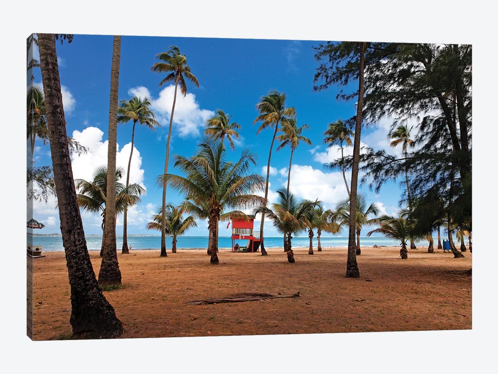 Lifeguard Hut on a Palm Covered Tropical Beach, Luquillo, Puerto Rico by George Oze 1-piece Canvas Artwork
