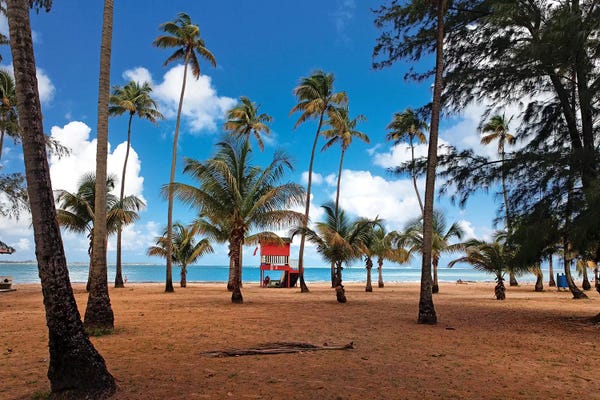 Puerto Rico: Lifeguard Hut on a Palm Covered Tropical Beach, Luquillo, Puerto Rico by George Oze