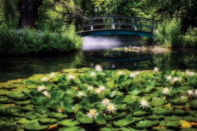 Lily Pond wit a Footbridge by George Oze metal wall art