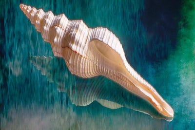 Aquatic Dreams III by George Oze canvas print