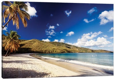 Magens Bay Morning, St. Thomas, US Virgin Islands Canvas Art Print - George Oze