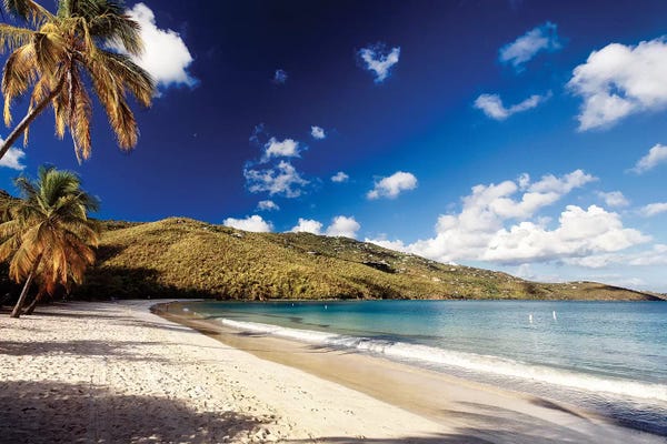 George Oze: Magens Bay Morning, St. Thomas, US Virgin Islands by George Oze