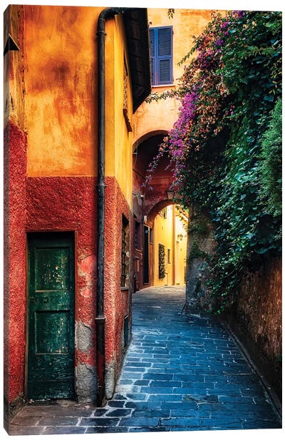 Narrow Street with Bougainvillea Flowers, Portofino, Liguria, Italy Canvas Art Print - Italy Art