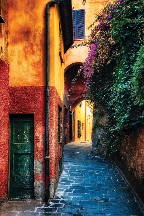 Narrow Street with Bougainvillea Flowers, Portofino, Liguria, Italy