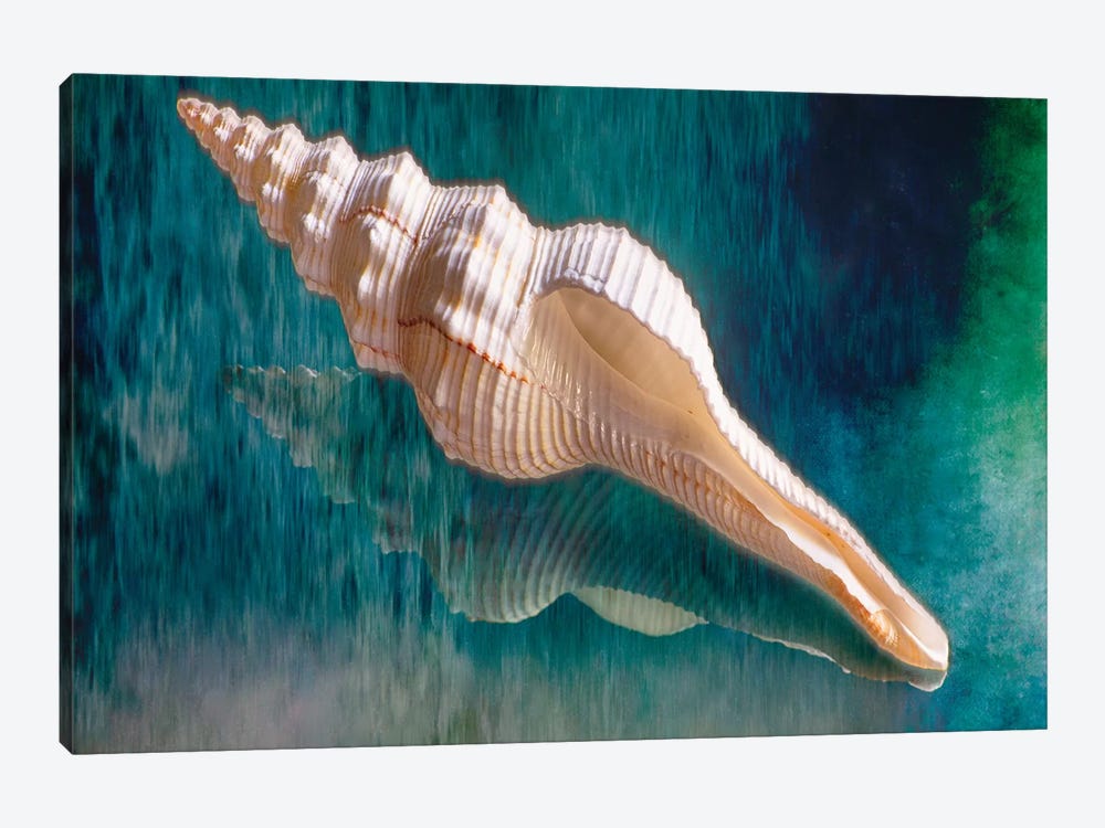 Aquatic Dreams III by George Oze 1-piece Canvas Art