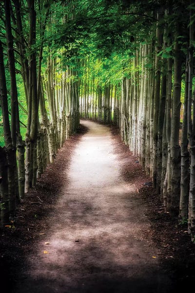 Path To My Destination by George Oze canvas print