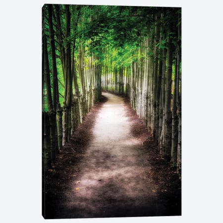 Path To My Destination Canvas Print #GOZ148} by George Oze Canvas Artwork