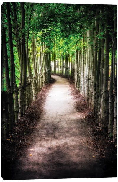 Path To My Destination Canvas Art Print - George Oze