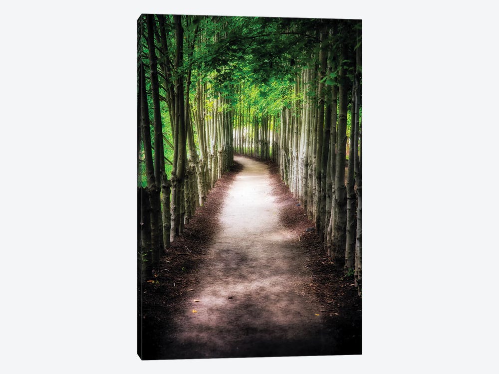 Path To My Destination by George Oze 1-piece Canvas Artwork