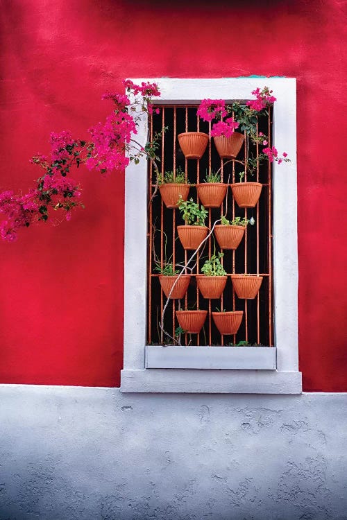 Potted Flowers in a Window by George Oze wall art