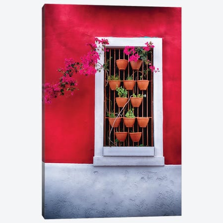 Potted Flowers in a Window Canvas Print #GOZ154} by George Oze Canvas Wall Art
