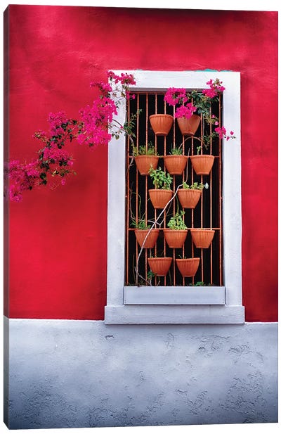 Potted Flowers in a Window Canvas Art Print - George Oze