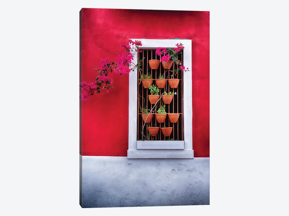 Potted Flowers in a Window by George Oze 1-piece Art Print