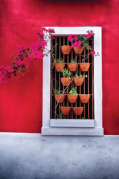 George Oze: Potted Flowers in a Window by George Oze